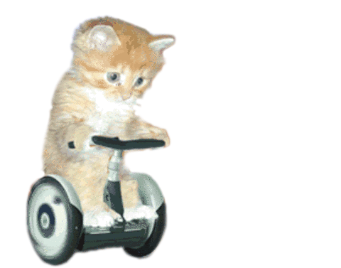 vroom